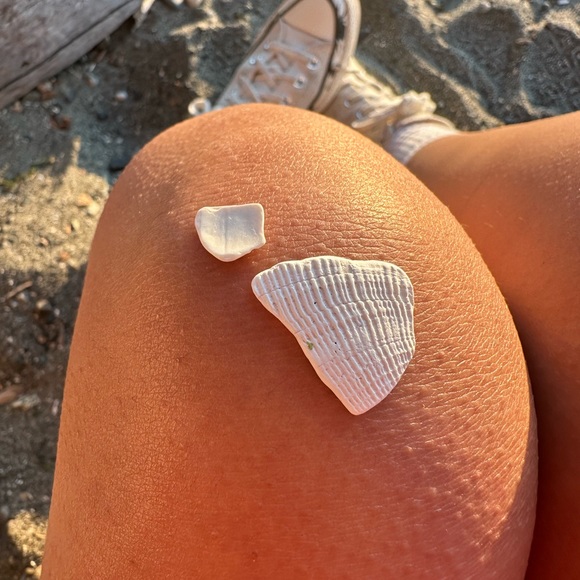 Meet your Posher, Perla - Picture 1 of 1